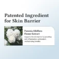 dr_althea_147_barrier_cream_4