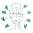 idc-institute-jade-gua-sha-2