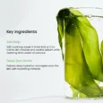 biodance-refreshing-sea-kelp-real-deep-mask-2