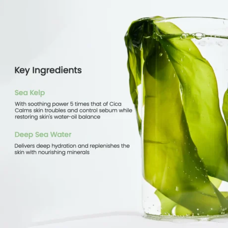 biodance-refreshing-sea-kelp-real-deep-mask-2